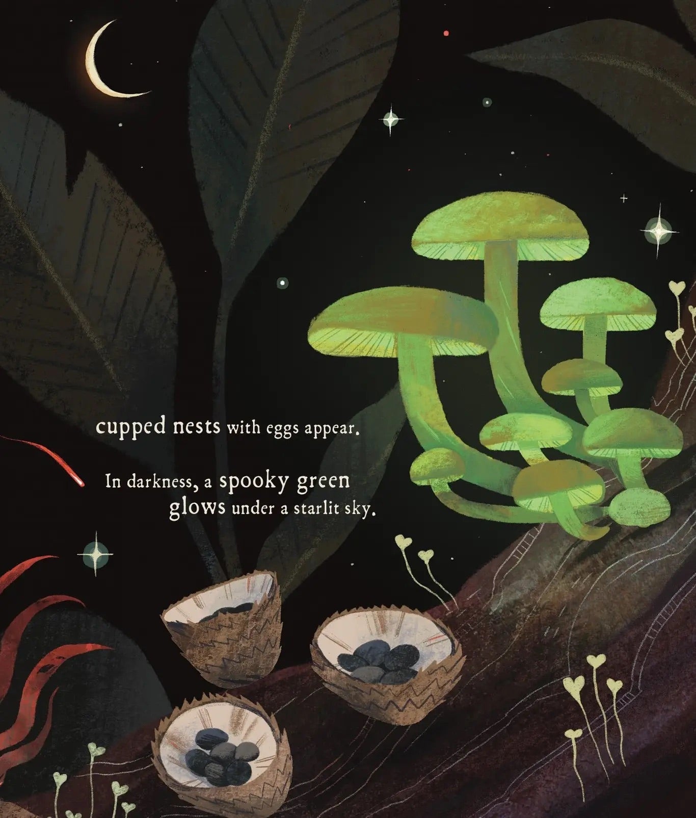 Mushroom Rain, picture book - Mushroom Coffee & Tea