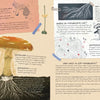 Mushroom Rain, picture book - Mushroom Coffee & Tea