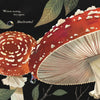 Mushroom Rain, picture book - Mushroom Coffee & Tea