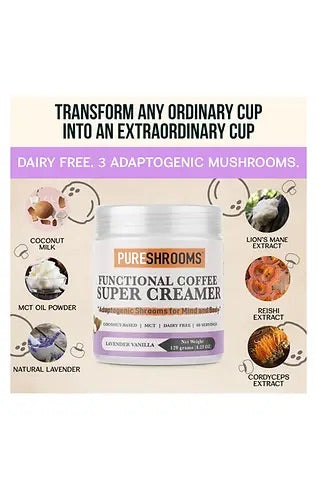 PureShrooms Functional Super Coffee Creamer Lavender Vanilla - Mushroom Coffee & Tea