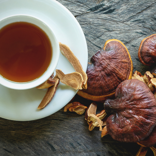 A cup of mushroom tea next to Turkey Tail mushrooms