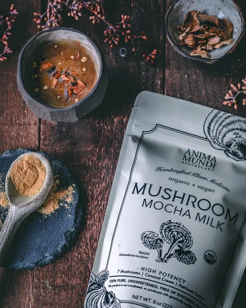 Anima Mundi Apothecary Mocha Milk - Mushroom Coffee & Tea