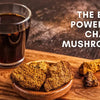 MYCOJAVA Mushroom Adaptogen Coffee - Mushroom Coffee & Tea