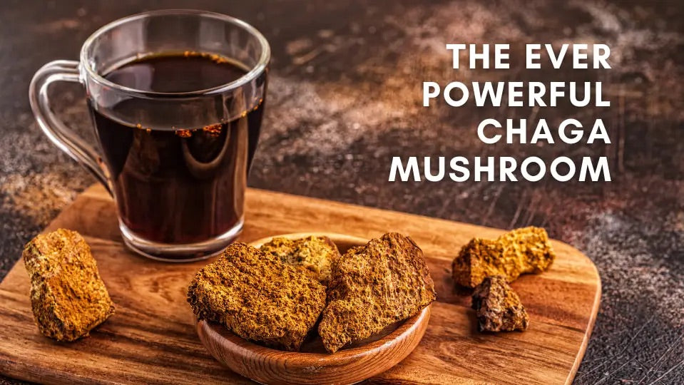 MYCOJAVA Mushroom Adaptogen Coffee - Mushroom Coffee & Tea