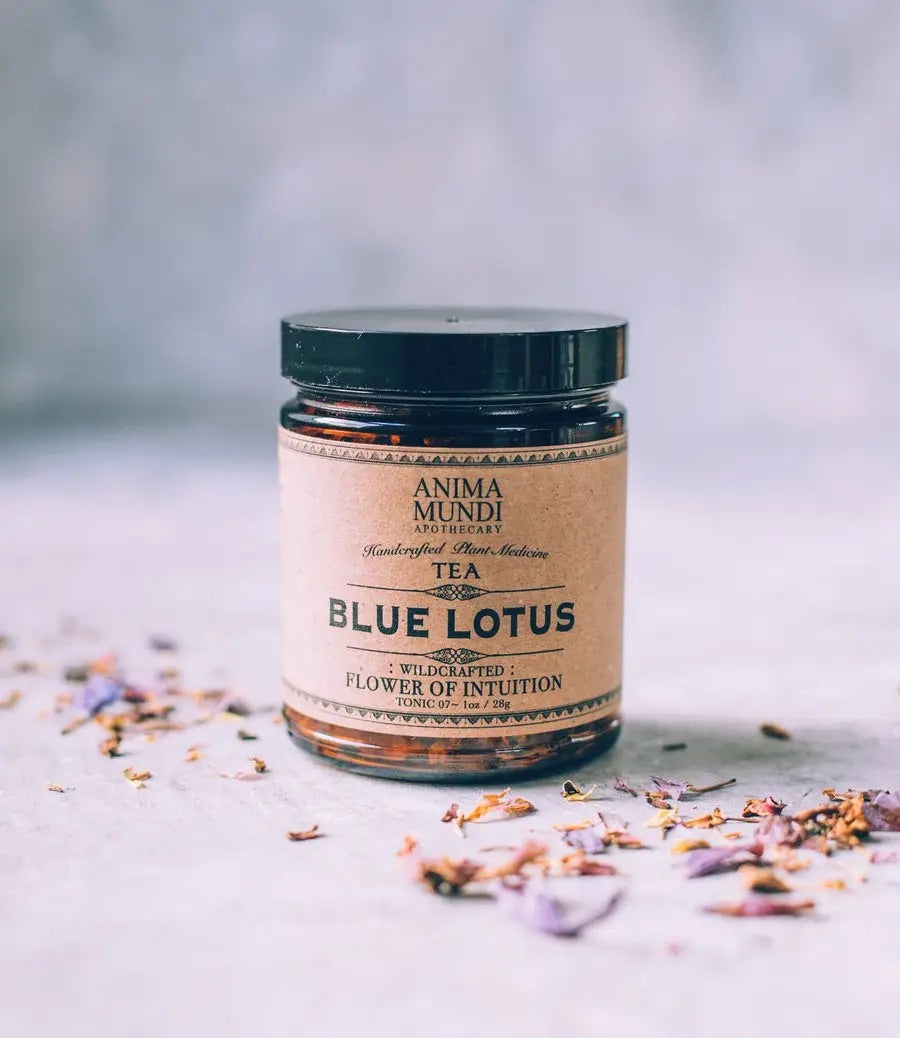 ANIMA MUNDI APOTHECARY Blue Lotus - Mushroom Coffee & Tea